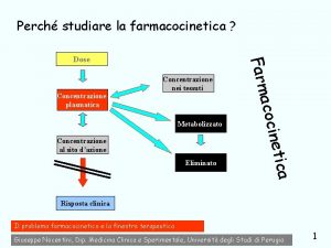 Perch studiare la farmacocinetica Metabolizzato Eliminato a netic