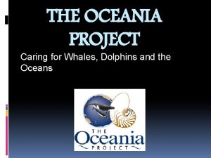 THE OCEANIA PROJECT Caring for Whales Dolphins and