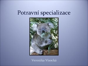 Potravn specializace Veronika Visock Specialist vs generalist Generalist