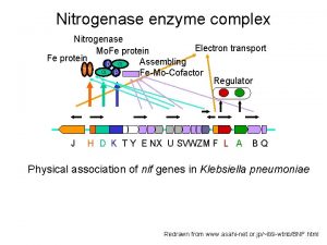 Nitrogenase enzyme complex