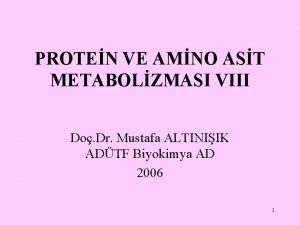 PROTEN VE AMNO AST METABOLZMASI VIII Do Dr