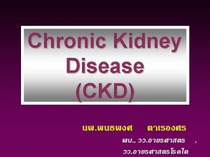 Renal Anatomy Renal Anatomy Renal Anatomy Renal Function Renal Anatomy Renal Anatomy Renal Anatomy Renal Function