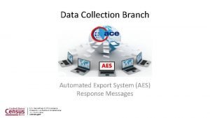 Data Collection Branch Automated Export System AES Response