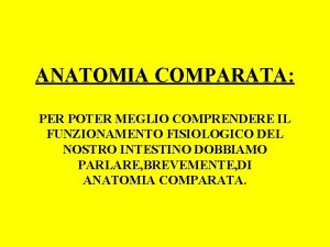 ANATOMIA COMPARATA PER POTER MEGLIO COMPRENDERE IL FUNZIONAMENTO