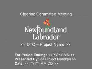 Steering Committee Meeting DTC Project Name For Period