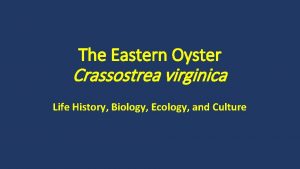 The Eastern Oyster Crassostrea virginica Life History Biology