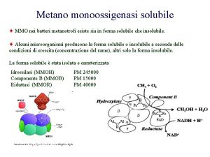 Metano monoossigenasi solubile MMO nei batteri metanotrofi esiste