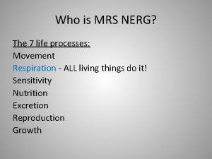 Mrs nerg