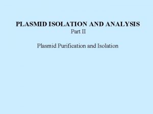 PLASMID ISOLATION AND ANALYSIS Part II Plasmid Purification
