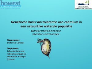 Genetische basis van tolerantie aan cadmium in een