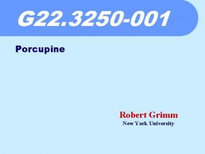 G 22 3250 001 Porcupine Robert Grimm New