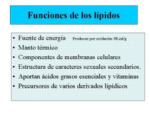 Funciones de los lpidos Fuente de energa Producen