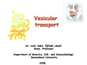 Vesicular transport Dr med habil Khidai Lszl Assoc