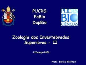 PUCRS Fa Bio Dep Bio Zoologia dos Invertebrados
