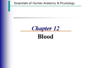 Essentials of Human Anatomy Physiology Chapter 12 Blood
