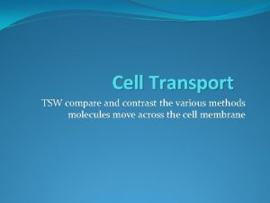Cell Transport TSW compare and contrast the various