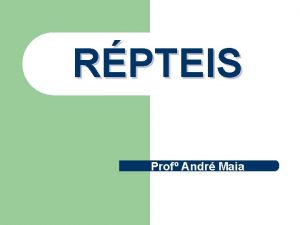 RPTEIS Prof Andr Maia Consideraes do Professor l