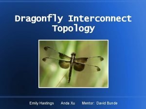 Dragonfly network topology