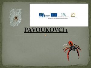 Pavoukovci