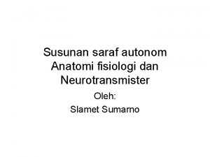 Susunan saraf autonom Anatomi fisiologi dan Neurotransmister Oleh