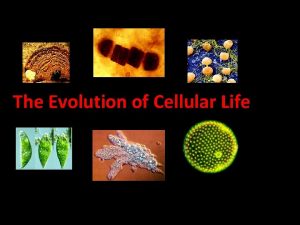 Cellular evolution