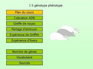 1 S gnotype phnotype Plan du cours Coloration
