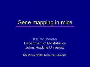 Gene mapping in mice Karl W Broman Department