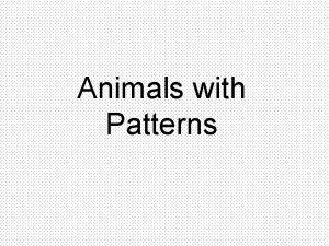 Animals with Patterns Reasons Animals Have Patterned Coats