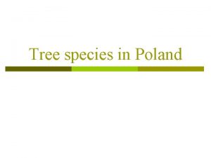 Types of trees in poland