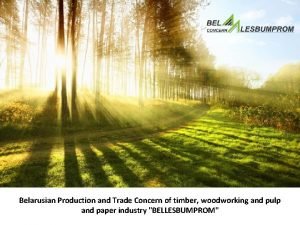 Belarusian Production and Trade Concern of timber woodworking