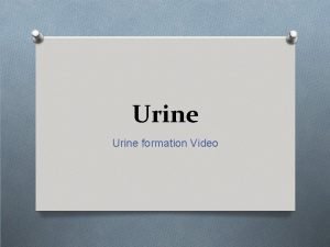 Urine formation Video What is urine Urine is