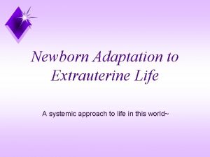 Newborn Adaptation to Extrauterine Life A systemic approach