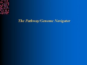 The PathwayGenome Navigator SRI International Bioinformatics Overview l