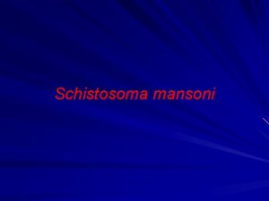 Schistosoma mansoni Schistosoma mansoni OBJETIVO Estudar a classificao