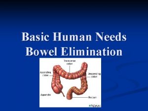 Basic Human Needs Bowel Elimination Bowel Elimination GI