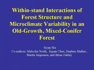 Withinstand Interactions of Forest Structure and Microclimate Variability