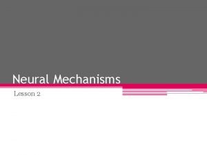 Reductionism vs holism - strengths and weaknesses