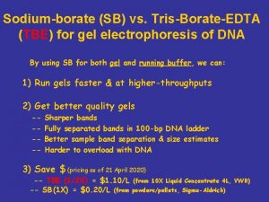 Sodiumborate SB vs TrisBorateEDTA TBE for gel electrophoresis