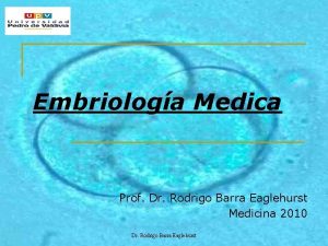 Embriologa Medica Prof Dr Rodrigo Barra Eaglehurst Medicina