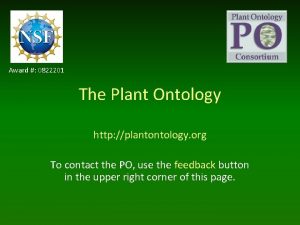 Award 0822201 The Plant Ontology http plantontology org