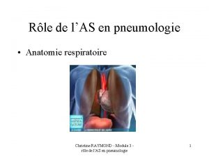 Rle de lAS en pneumologie Anatomie respiratoire Christine