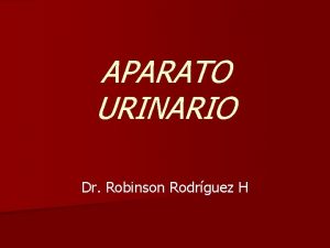 APARATO URINARIO Dr Robinson Rodrguez H ACLARACION n