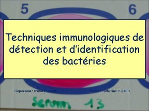 Techniques immunologiques de dtection et didentification des bactries