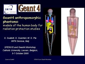 Geant 4 anthropomorphic phantoms models of the human