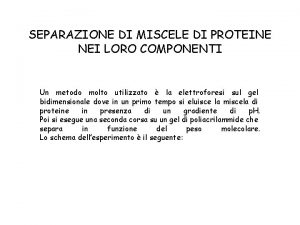 SEPARAZIONE DI MISCELE DI PROTEINE NEI LORO COMPONENTI