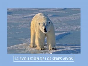 LA EVOLUCIN DE LOS SERES VIVOS TENEMOS UN