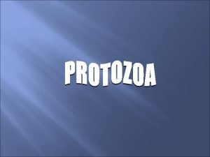 Subkingdom protozoa