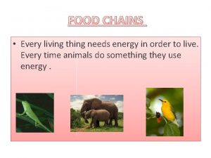 Everything that is alive needs energy