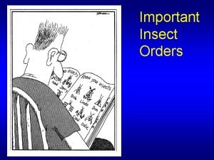 Important Insect Orders Depending upon which textbook you