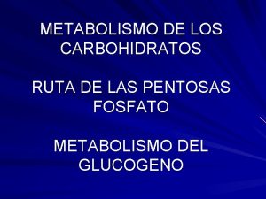 METABOLISMO DE LOS CARBOHIDRATOS RUTA DE LAS PENTOSAS